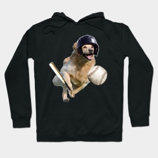 Golden Retriever Baseball Hoodie